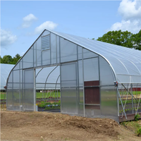 Serre Agricole Sinok Complète avec Système d'Irrigation, Tunnel Haut pour Légumes, Film PE, pour Tomates