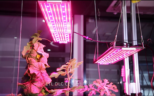 2026 Longood nhà máy ETL DLC CE 150W 320W 400W Hợp kim nhôm cơ thể lượng tử heo rừng Bảng điều chỉnh quang phổ đầy đủ dẫn Bảng điều chỉnh phát triển đèn - Product Image 6