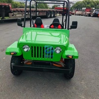 Voiturette de golf tout-terrain 150cc 200cc 250cc, mini-jeep automatique à essence 2/4 places, véhicule utilitaire électrique pour adultes, buggy