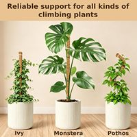 Support en plastique Coco Moss Pole de style moderne pour plantes grimpantes Monstera, design empilable