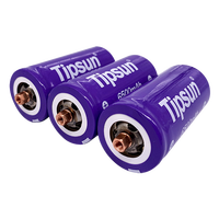 Sel Baterai LiFePO4 Tipsun 32700 3.2V 6500mAh 20.8Wh Lithium Iron yang Dapat Diisi Ulang