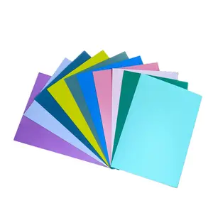 Wholesale Polypropylene Sheet 0.5-2 Mm Pp Sheet Roll Customized Color PP Cutting Board Transparent Plastic Film For Printing