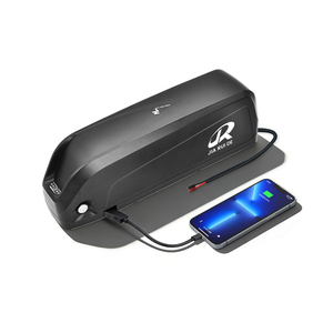 Batterie solide pour vélo électrique Hailong G80 48V 13Ah avec BMS 20A pour moteurs 750W/1500W, cathode NCM, 1000 cycles - Product Image 1