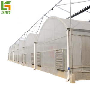 Special <strong>Greenhouse</strong> for Mushroom Cultivation Agricultural <strong>Greenhouse</strong> with <strong>Shelve</strong> and Films Free <strong>Greenhouse</strong> Design - Product Image 2