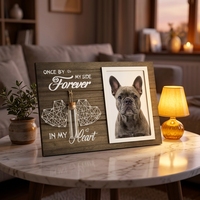 Cadre photo commémoratif moderne fait main et écologique pour animaux de compagnie, plaque en bois avec bouteille en verre et cœur en fil métallique 3D, cadeau de condoléances pour la perte d'un chien ou d'un chat