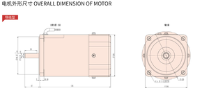 380V 220V 110V单相交流感应齿轮电机180W IP54/IP55保护50Hz/60Hz IE1效率物流运输 - Product Image 4