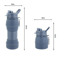 2025 nouveau Style 600ml capacité Silicone belle été pliable bouteille d'eau potable bouteille d'eau pliable