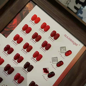 Kit de vernis à ongles gel UV 24 couleurs rouge vin 15ml, à retirer par trempage, pour LED, logo personnalisé, DIY, nail art, manucure en salon - Product Image 2