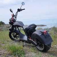 Motos électriques EU EEC, scooters électriques pour adultes, entrepôt MH3 à vendre