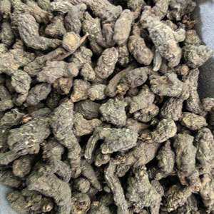 Tiankui Zi Mil años Mierda de rata cruda seca procesada por tipo de procesamiento de anuncios - Product Image 6