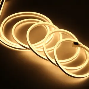 10*20MM professionnel Led néon corde lumière extérieure Led bande néon lumière pour la décoration de vacances