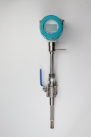 Débitmètre thermique insérable avec capteur LCD pour GPL, CO2, ammoniac, hydrogène