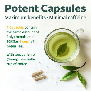 ओम ओडम ऑर्गेनिको ग्रीन टी कैप्सूल हरी चाय के कैप्सूल एंटीऑक्सिडेंट समर्थन शाकाहारी पूरक - Product Image 2