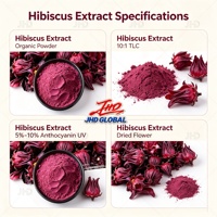 Ekstrak Hibiscus 10:1 TLC Bubuk Ekstrak Hibiscus Sabdariffa Bahan Botani