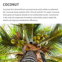 VISHMANNI Vente en gros 100% huile essentielle de noix de coco naturelle et biologique huile essentielle pure MSDS certifiée pour les soins de la peau et des cheveux en vrac 1L Minimum