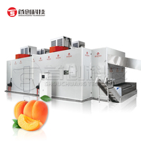 Volautomatische Fruit Gaas Riem Droger Industriële Perzik Peer Ananas Fruit Droger Droogmachine