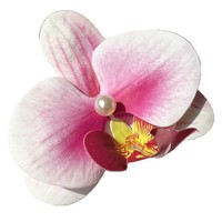 Barrettes à fleurs Phalaenopsis tendance 2026 pour femmes – Élégante pince à cheveux latérale pour séances photo et tenues de vacances