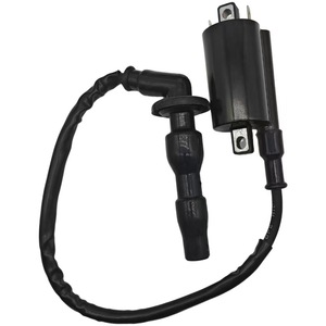 Bobine d'allumage Jilong 3189 monocylindre pour pièces de moto Everest Kaiyue 500X - Product Image 1