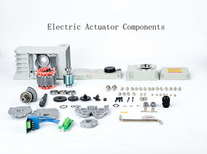 Actuador Ajustable 4-20mA 0-10V, Bola Personalizable Según Muestras - Product Image 6