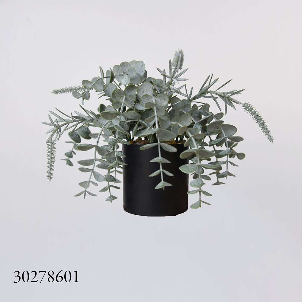 17 cm de altura total