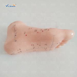 एक्यूपंक्चर हाथ पैर कान के फुट मॉडल 13 सेमी फुट एक्यूपंक्चर मॉडल मालिश एक्यूपंक्चर उत्तेजक प्रशिक्षण - Product Image 4