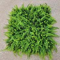 Pelouse artificielle plante mur en plastique fleur tapis cloison ornement décoratif aménagement paysager pour la maison vert boston fougère feuilles