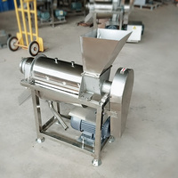 Elektrische Roestvrijstalen Citrus Juicer Commerciële Koude Pers Sap Machine Slow Juicer Roestvrij Staal