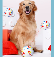 Nouveau design écologique haute élasticité ETPU Dog Ball jouets à mâcher interactifs flottants durables pour chiens agressifs