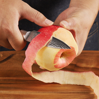 Hot Selling Damascus Patroon Rvs 3.5 Inch Keukenmes Fruit En Groente Snijden Pakka Hout Mes