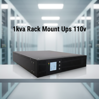 Alimentation sans interruption (ASI) en rack 1 kVA, alimentation en ligne 110 V pour la base de données, la banque, l'hôpital