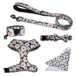 Ensemble de harnais pour chien personnalisé OEM ODM, harnais rembourré, collier, laisse et bandana pour chiens de petite et moyenne taille - Product Image 3