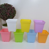 Kit de pot de fleur carré en plastique de 12cm pour plantes succulentes jardinière de conception enduite pour l'usage de plancher de bureau maison jardinage centre commercial pépinière
