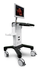Alat USG Digital Full Trolley 15 Inci B&W, Peralatan Diagnostik Medis, Harga Mesin USG & USG 750 - Product Image 6