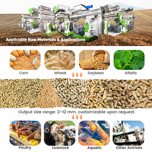 Máquina de Producción de Alimento para <span class=keywords><strong>Pollos</strong></span> <span class=keywords><strong>RICHI</strong></span> - Máquina de Fabricación de Pellets de Alimento de Acero Inoxidable 304 para <span class=keywords><strong>Pollos</strong></span> - Product Image 3