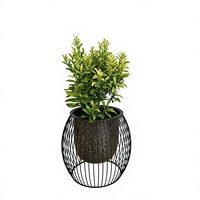Pot Bunga Logam Hitam Mewah Dengan Desain Kawat Melingkar Penanam Tanaman Dalam Ruangan Gaya Modern Lapisan Powder Coating