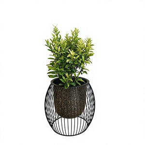 Fancy Black Metal Flower Pot With Circular Wire Design Indoor Plant Planter Modern Style Powder Coated Finish - Product Image 1