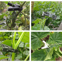 Clips de soutien réutilisables pour plantes de jardin, pour soutenir les tiges des fleurs, des vignes, des légumes et des plantes grimpantes