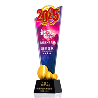 Trophée en cristal personnalisé avec logo, trophée en verre créatif, plaque de trophée en cristal avec impression couleur, trophée en cristal coloré vierge