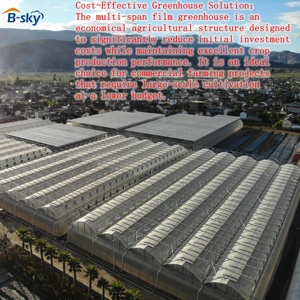Soluzione per Serre Agricole per Produzione Alimentare Commerciale e Agribusiness Tutto l'Anno - Product Image 4