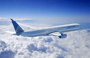 중국에서 <span class=keywords><strong>AUSTIN</strong></span> 미국까지 저렴한 고속 항공화물 운송 업체 - Product Image 5