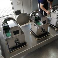 Multifunctionele Groene Ui Groente Chopper Groente En Fruit Snijmachine