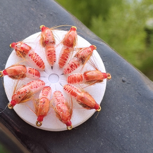 OEM Nassfliegen-Nymphen Künstlicher Insektenköder mit Naturfedern Fliegenfischen-Set Fleischfarbe für Fluss-, Bach- und Seefischerei - Product Image 1