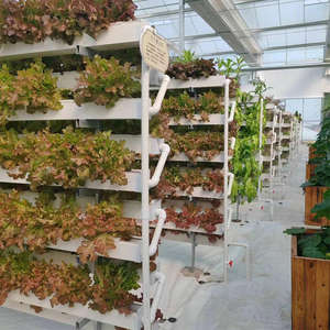 Grande serre de culture sans sol en PVC, système de culture hydroponique verticale NFT pour la laitue, les fraises, les cerises, les concombres - Product Image 3