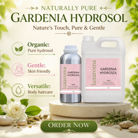 Hydrolat de Gardenia 100% Pur et Naturel, Parfum Frais, pour Peau, Cheveux et Aromathérapie, Extrait de Plantes et Fleurs