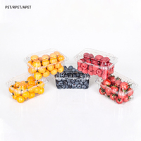 Emballage personnalisé en PET transparent pour fruits, boîte d'emballage ventilée pour myrtilles, fraises et produits frais avec couvercle
