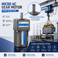 Moteur à micro-engrenages hélicoïdaux haute efficacité, faible bruit, démarrage-arrêt fréquence, étanchéité IP54, compatible VFD, monophasé 220V