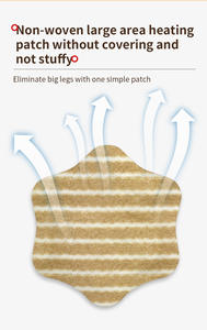 Lijitang Patchs Amincissants <span class=keywords><strong>Ventre</strong></span> Original Chinois aux Plantes Feuille de Lotus pour un Régime Rapide et un <span class=keywords><strong>Ventre</strong></span> <span class=keywords><strong>Plat</strong></span> - Product Image 5