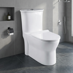 Siphonic One Piece Ceramic Toilet Dual Flush 250mm 300mm S <b>Trap</b> Elongated WC For Saudi South America - Product Image 5