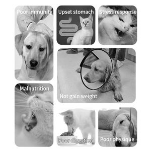 Oem/Odm Natuurlijke Probiotische Poeder Voor Honden Katten Prebiotica Voor Spijsvertering Darm Gezondheid Aanbevolen Dierenartsen Gezondheidszorg Supplementen - Product Image 5