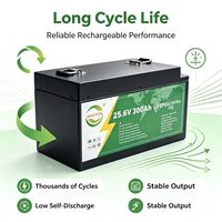 Module de batterie de stockage d'énergie de type armoire 25,6 V 300 Ah 6000 cycles, fabriqué en Chine, haute capacité, au phosphate de fer et de lithium (LFP)